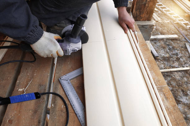 Best Steel Siding Installation  in Dawson Springs, KY