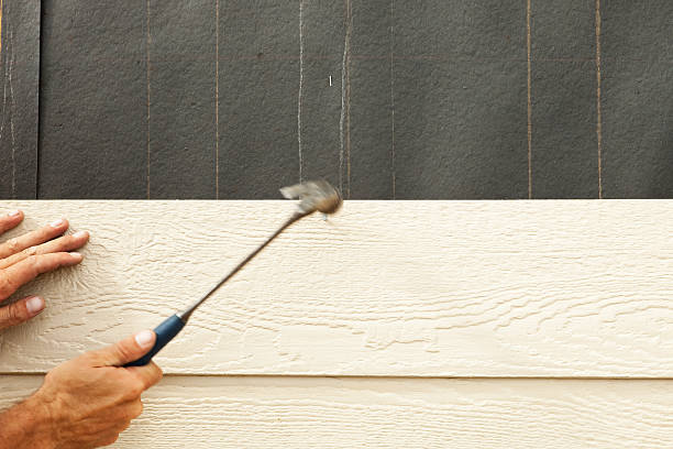 Best Stone Veneer Siding  in Dawson Springs, KY